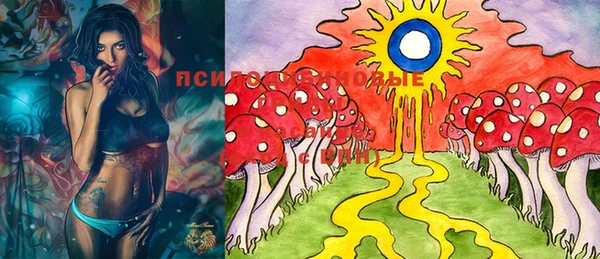 ECSTASY Россошь