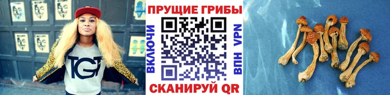 наркошоп  Балахна  Галлюциногенные грибы ЛСД 