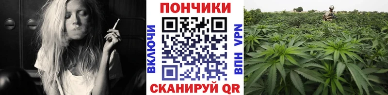 Конопля Amnesia  нарко площадка какой сайт  Балахна  сколько стоит 